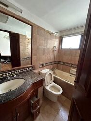 Dover Parkview (D5), Condominium #453969241